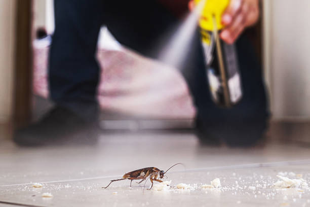 Best Commercial Pest Control Services  in Palmer Ranch, FL