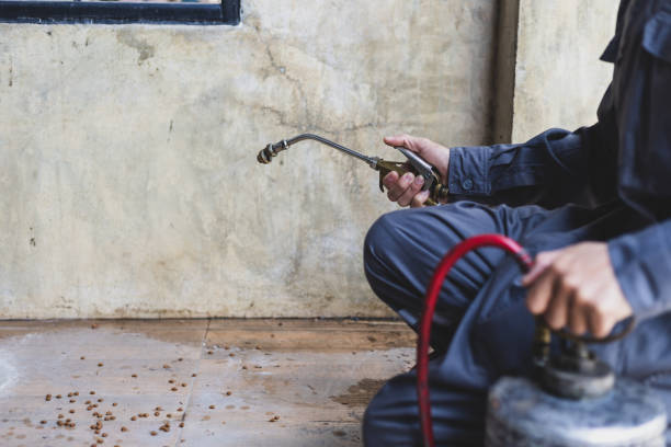 Best Pest Prevention Services  in Palmer Ranch, FL